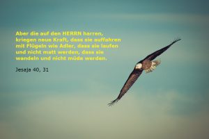 Jesaja 40,31